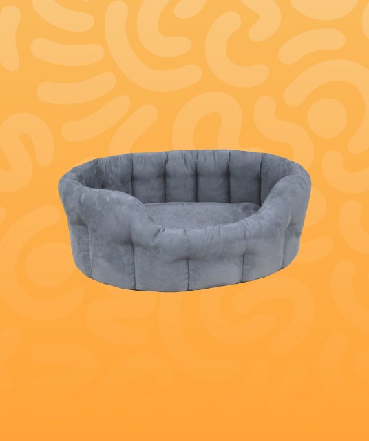 petsguides.com - Home Pets