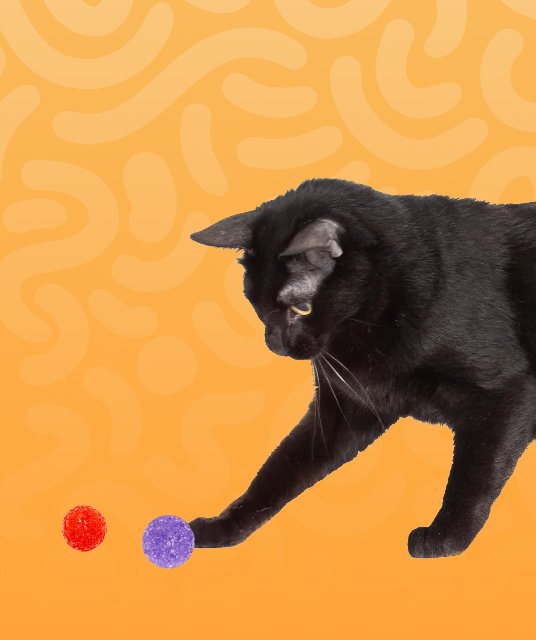 petsguides.com - Home Pets