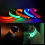 LED Pet Safety Collar with Adjustable Sizes for Dogs & Cats