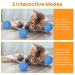 Interactive Motion Activated Cat Toy Ball with USB Rechargeable Battery - Image 8