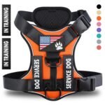 Adjustable Reflective Dog Harness with Quick Release - Multiple Colors & Sizes - Image 5