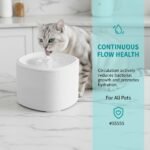 White Cat Water Fountain for Fresh Hydration