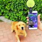 Pet Selfie Clip with Toy Holder for Mobile Phones - Image 5