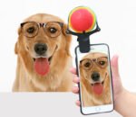 Pet Selfie Clip with Toy Holder for Mobile Phones - Image 2