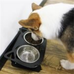 Inclined Stainless Steel Dog Bowl - Moisture Resistant - Image 7