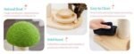 Mushroom Cat Scratching Post with Interactive Ball Toy - Image 6
