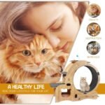 6-in-1 Indoor Cat Exercise Wheel with Natural Wood Finish - Image 9
