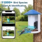 1080P HD Bird Feeder Camera with Night Vision & AI Bird ID - Image 5