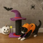 Wizard Hat Cat Scratching Post with Spring Toy - Purple - Image 10