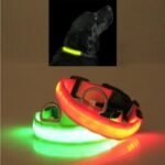 LED Pet Safety Collar with Adjustable Sizes for Dogs & Cats - Image 5