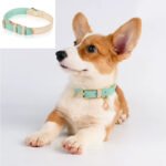 Adjustable Genuine Leather Dog Collar for Small, Medium & Large Dogs