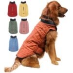 Insulated Dog Winter Coat - Multiple Colors & Sizes - Image 7