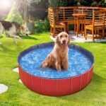 Foldable Portable Dog Swimming Pool with Drain Valve - 63 Inch - Image 3