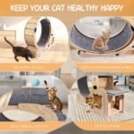 6-in-1 Indoor Cat Exercise Wheel with Natural Wood Finish - Image 7