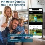 1080P HD Bird Feeder Camera with Night Vision & AI Bird ID - Image 3