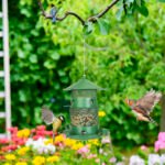 3-Tier Large Capacity Metal Hanging Bird Feeder with Water Cups & Perches - Image 2