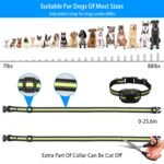 Rechargeable Anti Bark Dog Collar with Vibration & Static Modes - Image 8