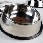 Classic Stainless Steel Pet Bowls - Multiple Sizes - Image 5