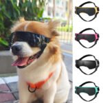 Casual Protective Dog Goggles in Black and Blue
