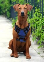 Adjustable Camouflage Dog Harness with Collapsible Bowl - Image 9