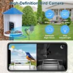 1080P HD Bird Feeder Camera with Night Vision & AI Bird ID - Image 8