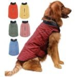 Insulated Dog Winter Coat - Multiple Colors & Sizes - Image 4