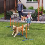 Adjustable Dog Agility Course Set with Carry Bag