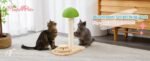 Mushroom Cat Scratching Post with Interactive Ball Toy - Image 3