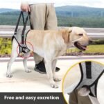 Heather Gray Adjustable Dog Back Leg Strap - Small