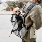 Portable Double Shoulder Dog Carrier Backpack for Travel - Image 6