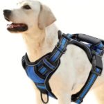 Adjustable Camouflage Dog Harness with Collapsible Bowl - Image 3