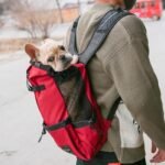 Portable Double Shoulder Dog Carrier Backpack for Travel - Image 3