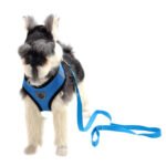 High-Quality Multi-Color Dog Harness with Mesh Design - Image 6