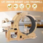 6-in-1 Indoor Cat Exercise Wheel with Natural Wood Finish - Image 6