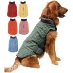 Insulated Dog Winter Coat - Multiple Colors & Sizes