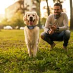 Wireless Dog Fence System with GPS Tracker and Adjustable Collar - Image 8