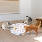 Interactive Motion Activated Cat Toy Ball with USB Rechargeable Battery - Image 9