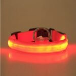 LED Pet Safety Collar with Adjustable Sizes for Dogs & Cats - Image 4