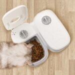 Automatic Gravity Pet Feeder and Water Dispenser for Cats & Dogs - Image 10