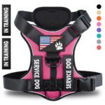 Adjustable Reflective Dog Harness with Quick Release - Multiple Colors & Sizes - Image 8