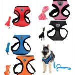High-Quality Multi-Color Dog Harness with Mesh Design