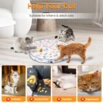 Interactive Motion Activated Cat Toy Ball with USB Rechargeable Battery - Image 4