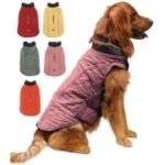 Insulated Dog Winter Coat - Multiple Colors & Sizes - Image 5