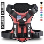 Adjustable Reflective Dog Harness with Quick Release - Multiple Colors & Sizes - Image 7