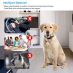 Rechargeable Anti Bark Dog Collar with Vibration & Static Modes - Image 4