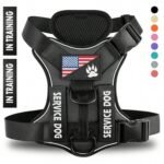 Adjustable Reflective Dog Harness with Quick Release - Multiple Colors & Sizes - Image 9