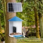 1080P HD Bird Feeder Camera with Night Vision & AI Bird ID - Image 6