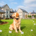 Electric Underground Dog Fence System with Dual Adjustable Collars - Image 4