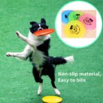 Dog Frisbee Toy - Durable Disc for Active Play - Image 2
