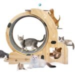 6-in-1 Indoor Cat Exercise Wheel with Natural Wood Finish